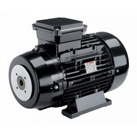 Motor electric trifazat 4.0 kW cu cuplaj elastic