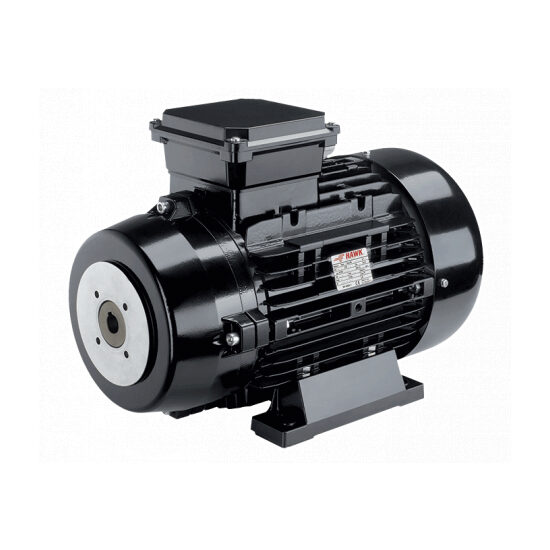 Motor electric trifazat 4.0 kW cu cuplaj elastic