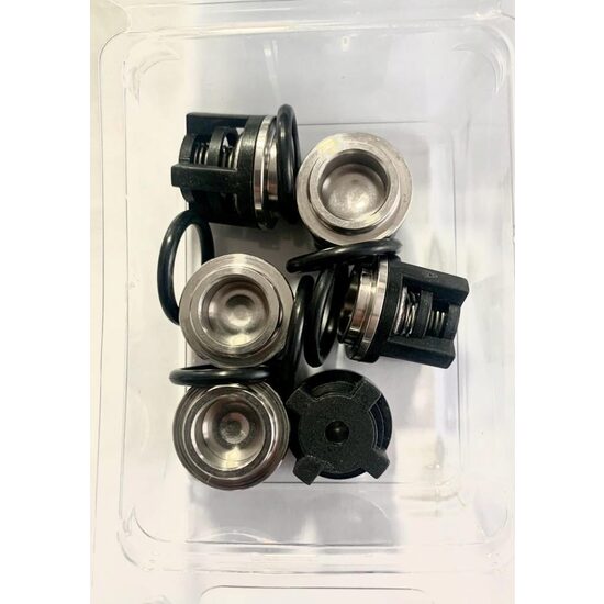 Kit supape pompă Annovi Reverberi serie RK