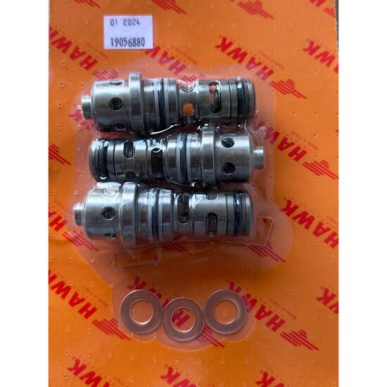 Set supape admisie/evacuare pompă HAWK serie PXI 500bar