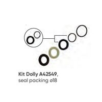 SET SIMERINGURI ETANSARE PISTON POMPA Annovi serie RR 18mm