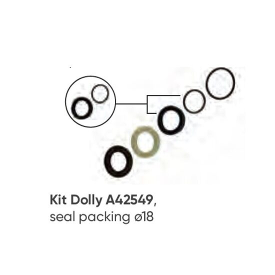 Set simeringuri etanșare piston pompă Annovi serie RR 18mm