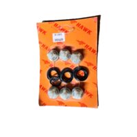 Set supape admisie/evacuare pompă HAWK serie XLTi 3020-4317