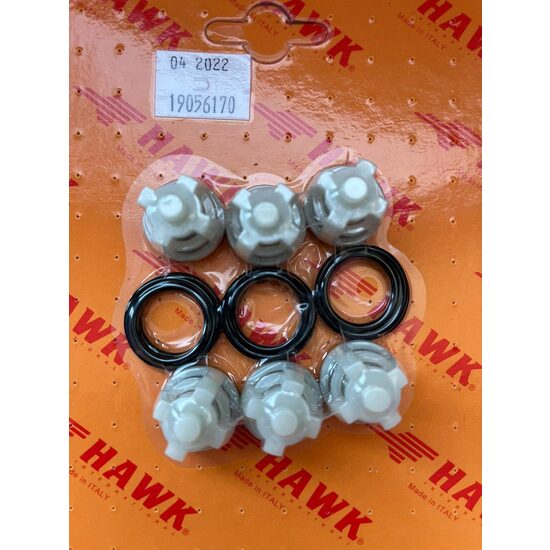 Kit supape admisie evacuare pompe NHD/SST/NST