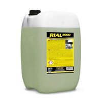 DETERGENT AUTO SPUMA ACTIVA RIAL 2000