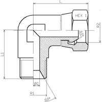COT OLANDEZ DKR 90grd 3/8-3/8 MF SCURT