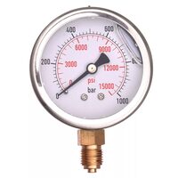 Manometru radial 1000 bar 1/4 INOX D63